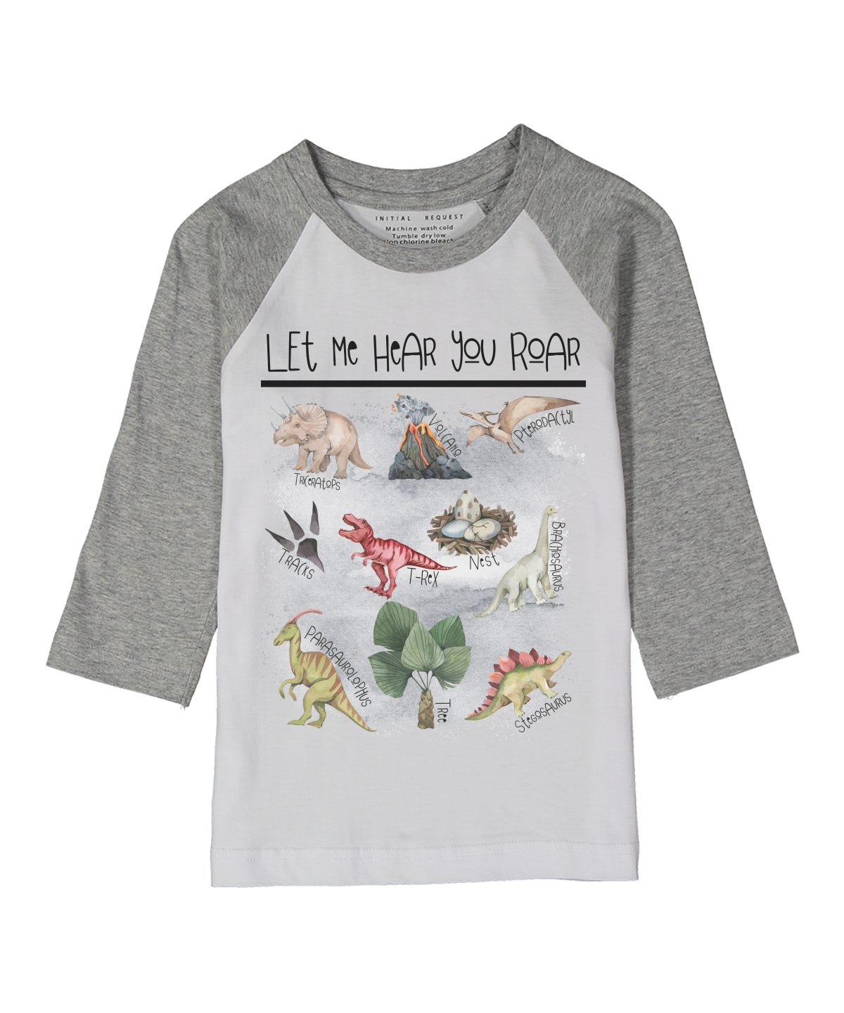 Let Me Hear Your Roar 7 Dinosaurs Gray Raglan Tee